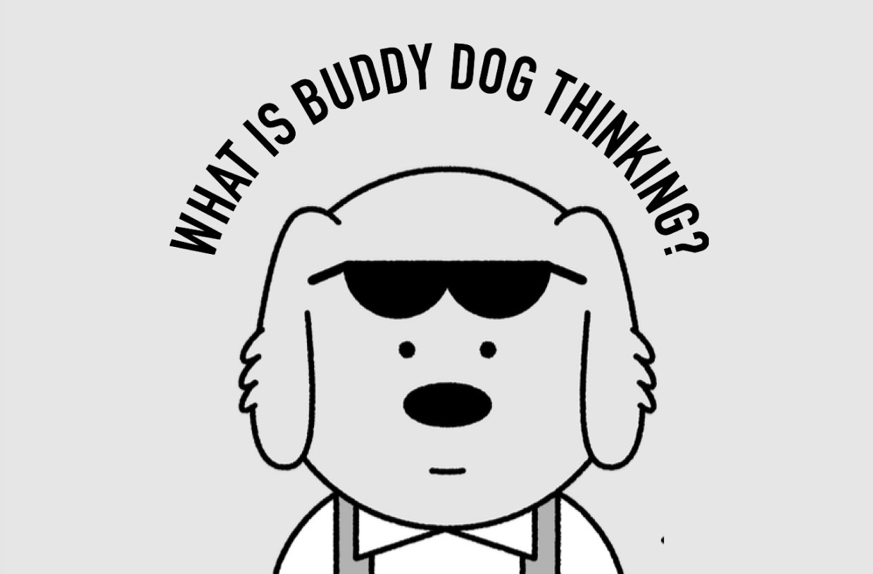 BUDDY DOG / What is Buddy Dog thinking?